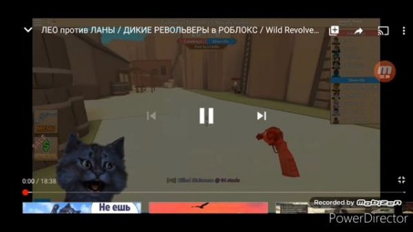 Как менялся (Кот Леонард/2017-2020)