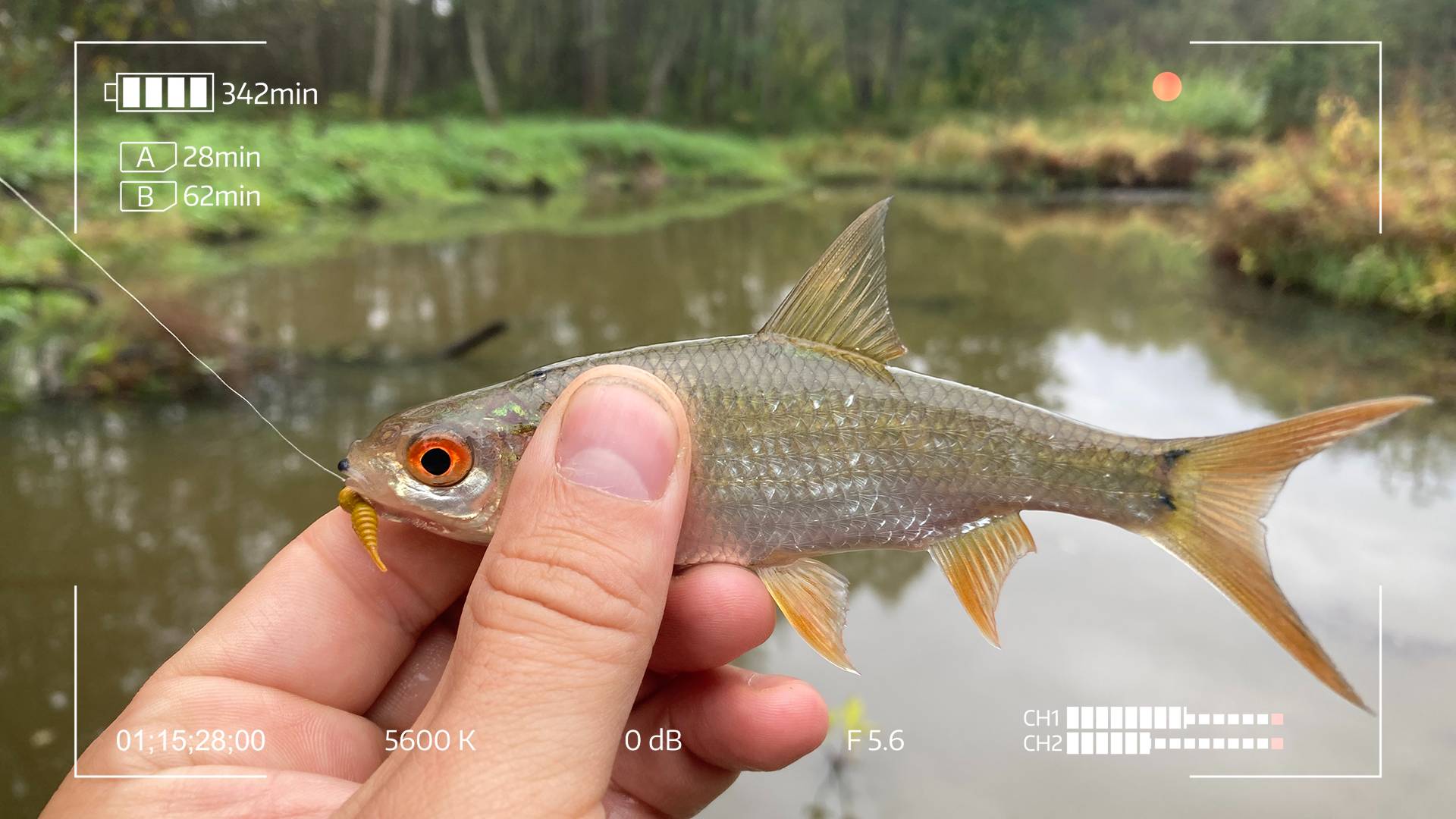 Мормышинг дивной реки смотреть онлайн