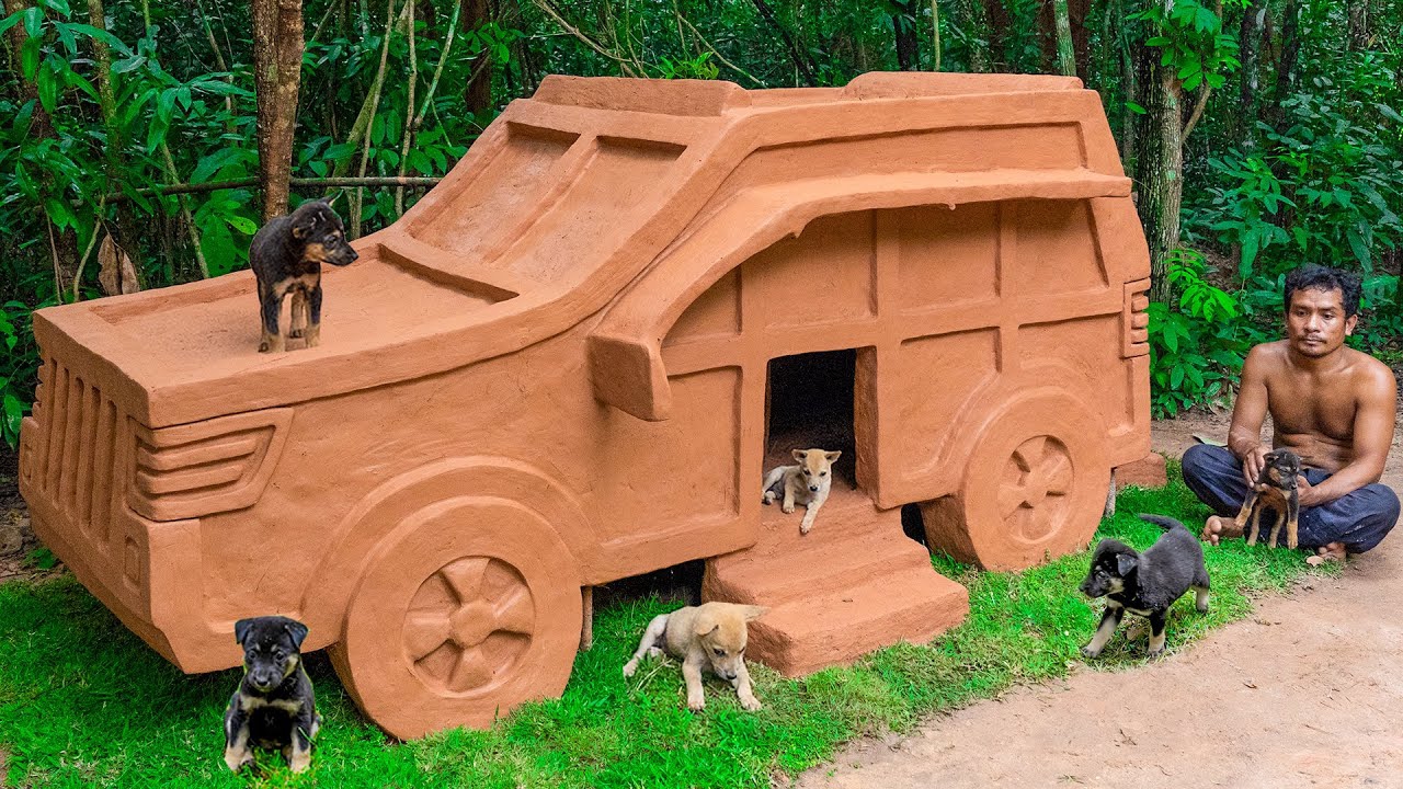 Построить новый домик для собак из грязи для бездомных щенков. смотреть онлайн