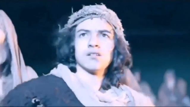 Знаменитая мелодия Поля Мориа, использованная для заставки телепередачи "В мире животных" смотреть онлайн