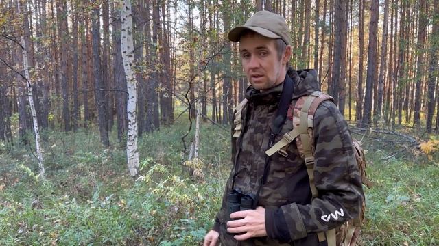 Собираем шиповник поймали крупного барсука смотреть онлайн