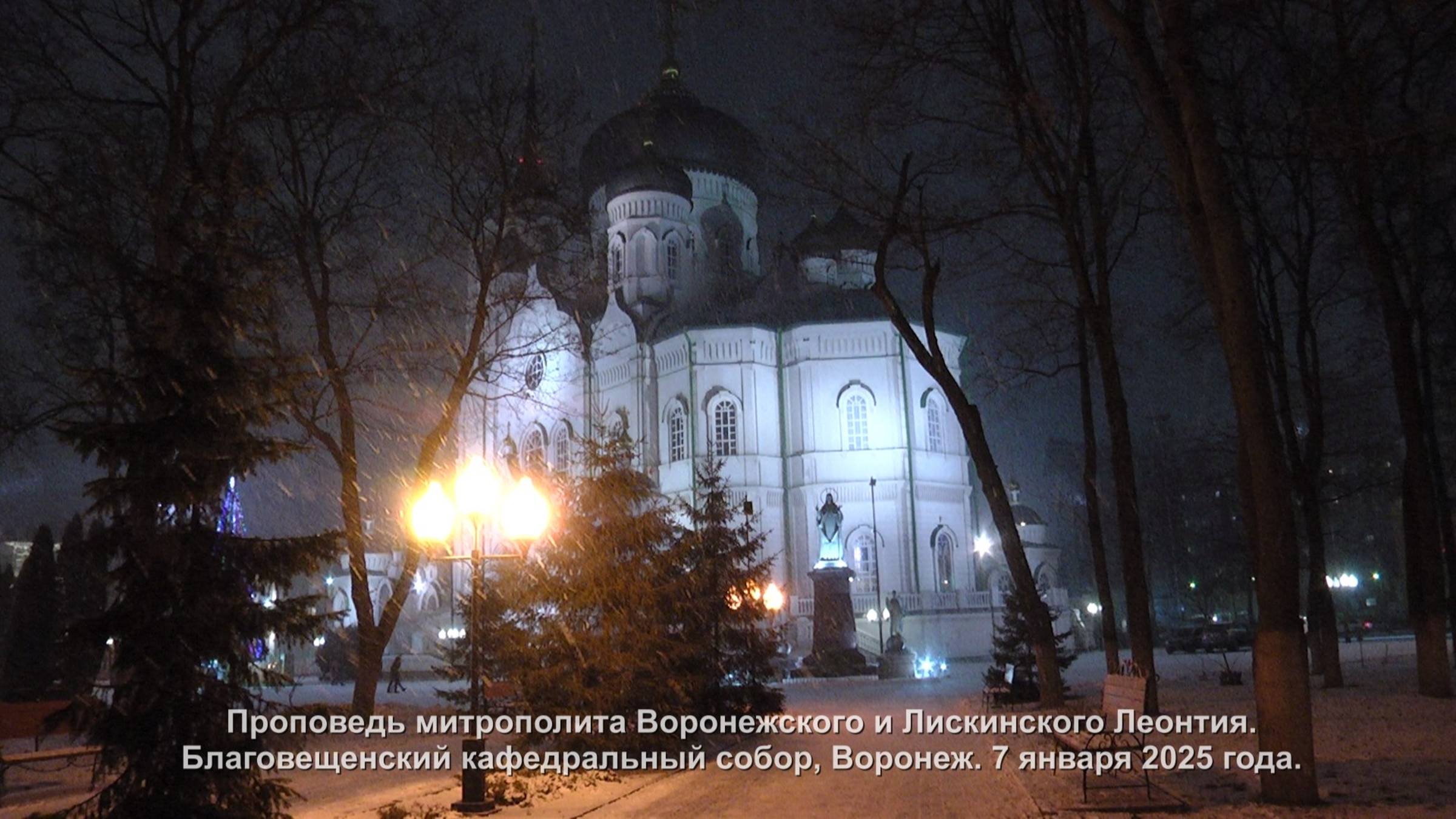 Проповедь митрополита Воронежского и Лискинского Леонтия. 7 января 2025 года. смотреть онлайн