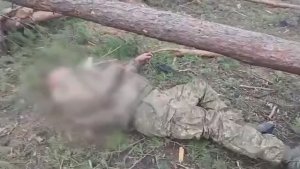 Штурм позиций ВСУ СВО №12