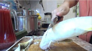 Строганина из наваги