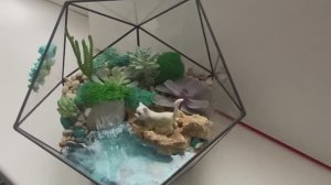 мастер класс флорариум своими руками