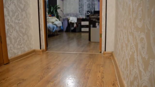 Кот приносит мяч-прыгун! :) смотреть онлайн