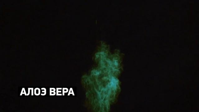 Клетчатка- замена 800 гр фруктов смотреть онлайн