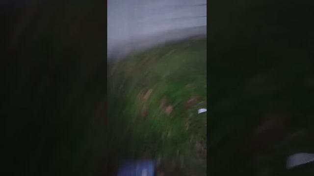 пес любит майонез ине только но и кетчуп смотреть онлайн