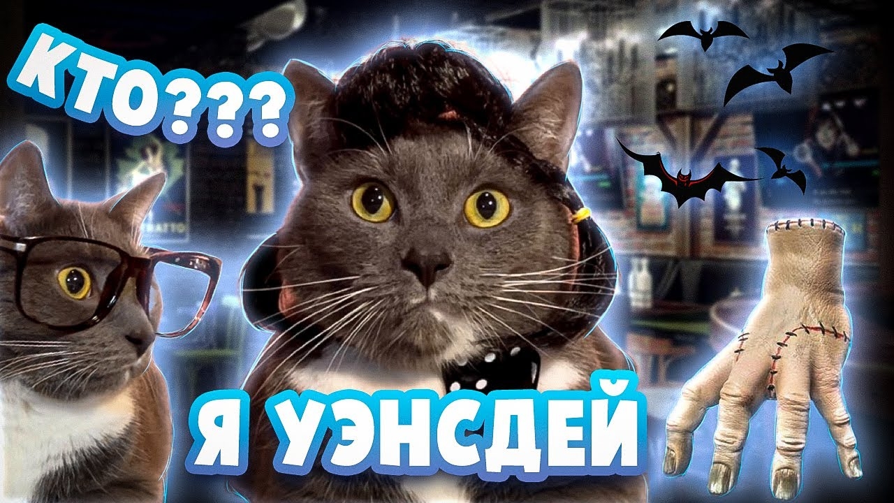ЕСЛИ БЫ КОТИКИ ХОДИЛИ В МАГАЗИН - УЭНСДЕЙ смотреть онлайн