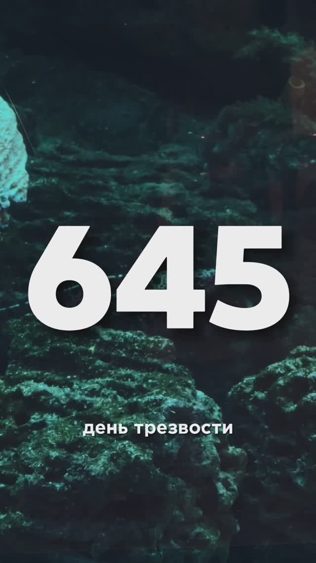 Мурена Настя смотреть онлайн