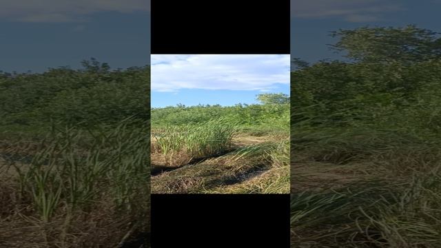 1000040721.mp4 смотреть онлайн