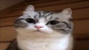 Кринжоскины 3 серия