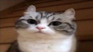 Кринжоскины 3 серия