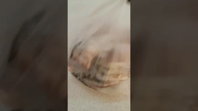 Жаренный лещ на манке быстро, легко и вкусно. смотреть онлайн