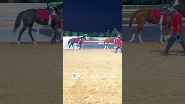 Hero Mo , Kabirkhan . Тренировка Кабирхана , Хироу Мо в Дубае , Training Kabirkhan , Hero Mo Dubai смотреть онлайн