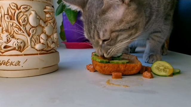 ASMR ОБЖОР БУТЕБРОДА. ASMR IS A SANDWICH GLUTTON. смотреть онлайн