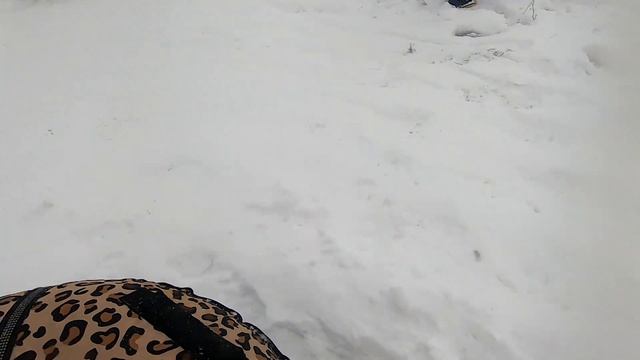 С горки на ватрушке 23 01 2022; Мыска - Темрюк. смотреть онлайн