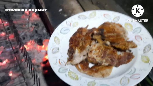 Мясо свинина на углях . жарю на решётке . угощаю с овощами в день святого строителя . смотреть онлайн