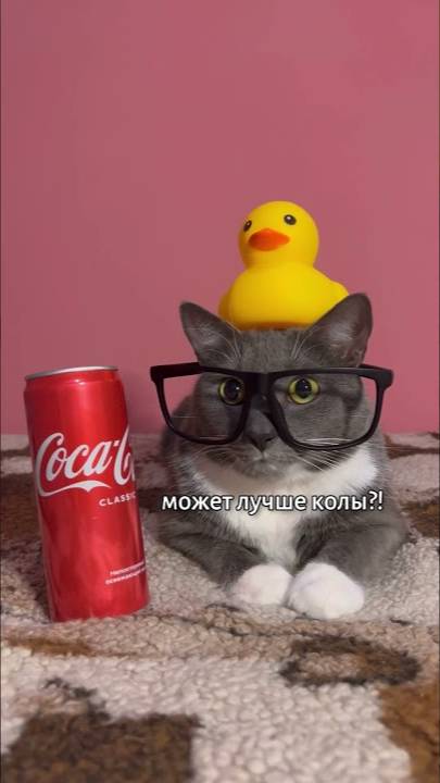 КОТИКИ В ШКОЛЕ - ТИПИЧНЫЙ ЛОТКОВ смотреть онлайн