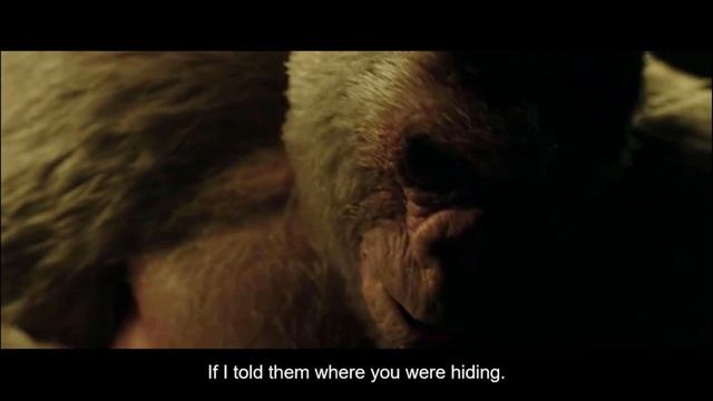 Caeser Accidently Kills Winter War for the Planet of the Apes смотреть онлайн
