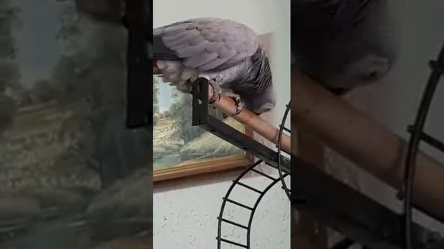 сама всё напутала,а теперь и папочку в речку... смотреть онлайн