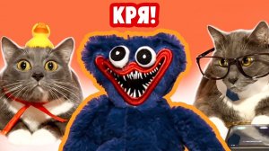 ЕСЛИ БЫ КОТИКИ ХОДИЛИ В ШКОЛУ - ХАГИ ВАГИ, УРОК ФИЗКУЛЬТУРЫ