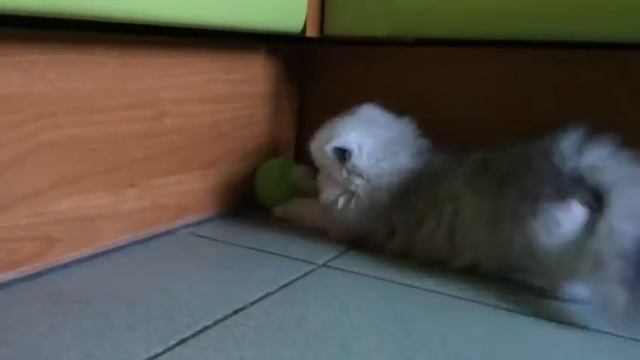 IMG 2120 смотреть онлайн