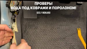 Проверь у себя! Вода под коврами и в поролоне полов. Как избежать? Джили Монжаро/ Geely Monjaro