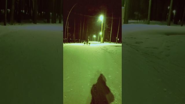 Рвут и мечут