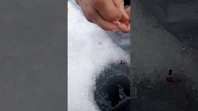 YouCut_20250107_145228491.mp4