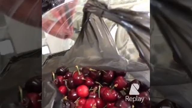 Мукарнас 2016 май смотреть онлайн