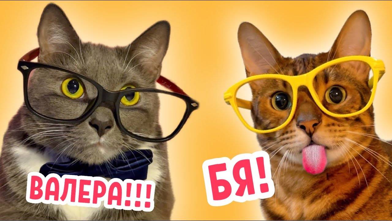 ЕСЛИ БЫ КОТИКИ ХОДИЛИ В ШКОЛУ - ВСЕ СЕРИИ С ВАЛЕРИЕМ ПОЛОСАТИКОВЫМ смотреть онлайн