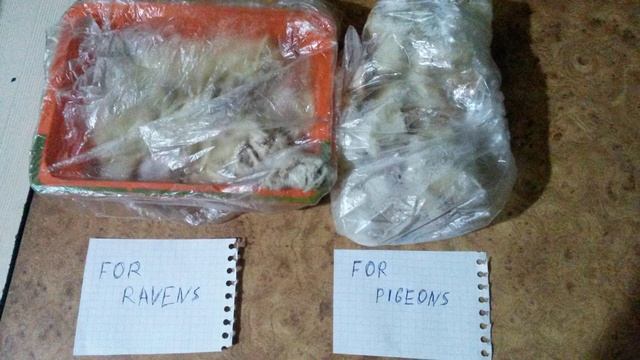 Это мое каждодневное зимнее меню для птиц. Здесь паста с мясом для ворон и хлеб для голубей. :P :) смотреть онлайн