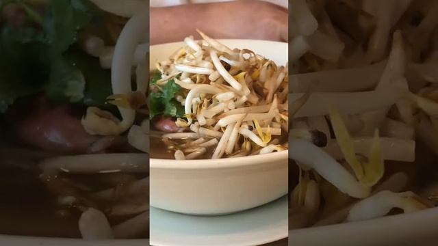 Beef Pho (fuh), Vietnamese noodle soup topped with cilantro and bean sprout - A closer look смотреть онлайн