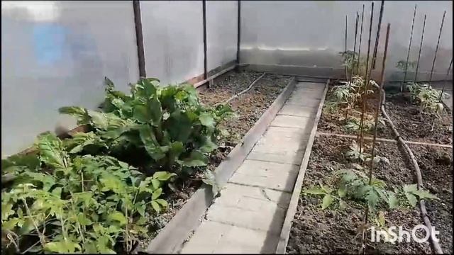 Наш сад - огород в апреле. смотреть онлайн