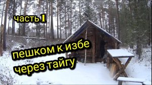 ПЕШКОМ К ИЗБЕ ЧЕРЕЗ ТАЙГУ_ПЕРВЫЙ СНЕГ_часть 1 #тайгахмао #изба #лес