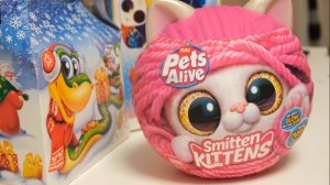 Обзор игрушки "Котик в клубочке Pets Alive  Smitten Kittens" и блокнота Куроми
