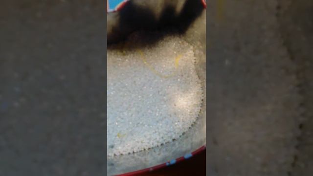 делаем фон из красивых бусинок смотреть онлайн