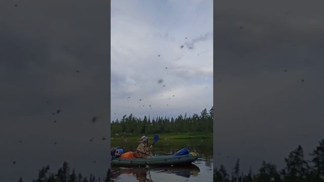 По речке Собь
https://rutube.ru/video/f50857d5d7dd2db8fb35e665cabafbdb/ смотреть онлайн