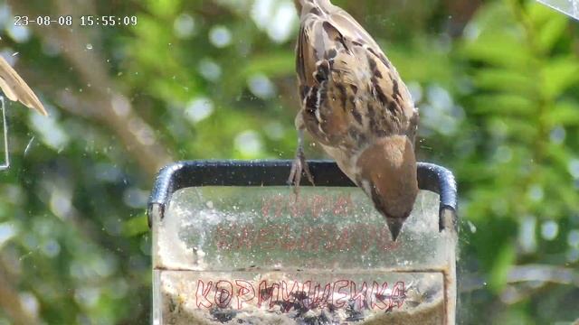 Вроде молодой? смотреть онлайн
