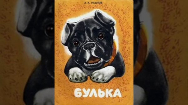 Булька.Начало