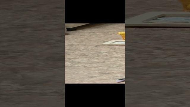 Старлайт и её друзья. Май литл пони.. Лиза З