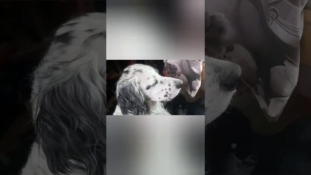 3 мая 2022 г. смотреть онлайн