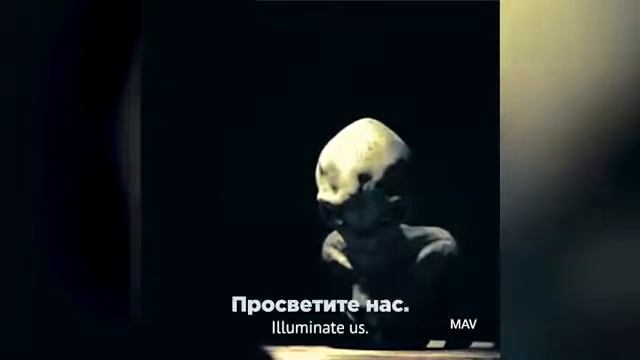 Сущность жизни