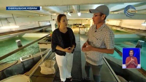 Бекіре балығын аулауға рұқсат