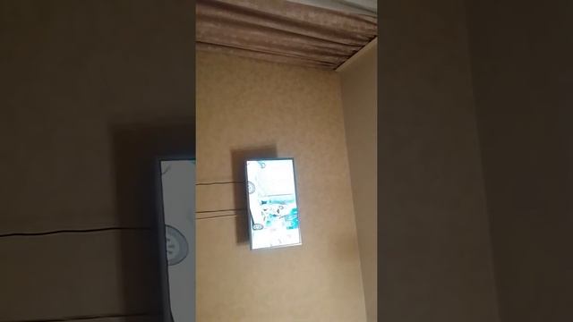 Шоу Маргариты и Паши.☺ смотреть онлайн