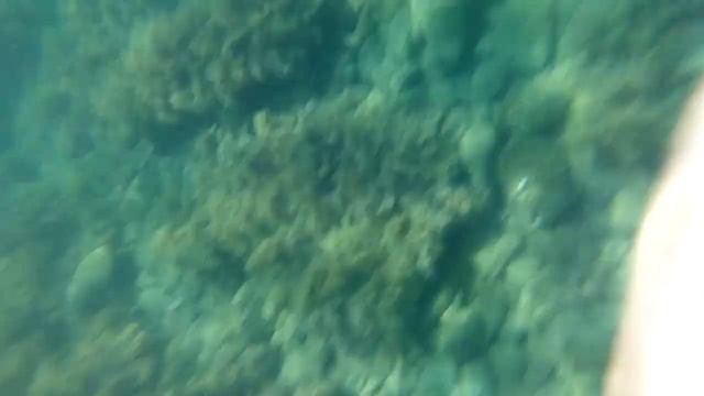 ПОДВОДНЫЙ МИР ЧЕРНОГО МОРЯ! ПРОГУЛКИ ПОД ВОДОЙ! РЫБЫ-РЫБКИ. смотреть онлайн