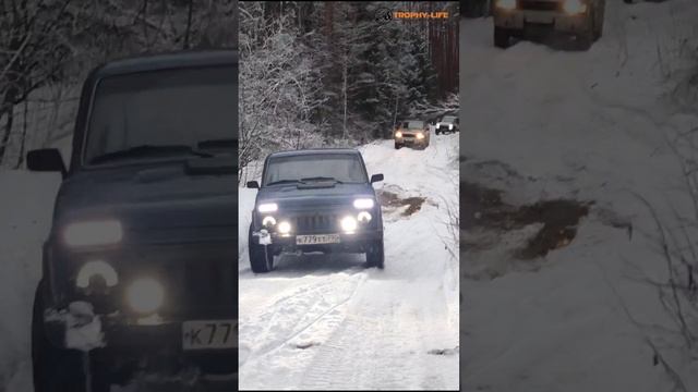 Нива дала жару! смотреть онлайн