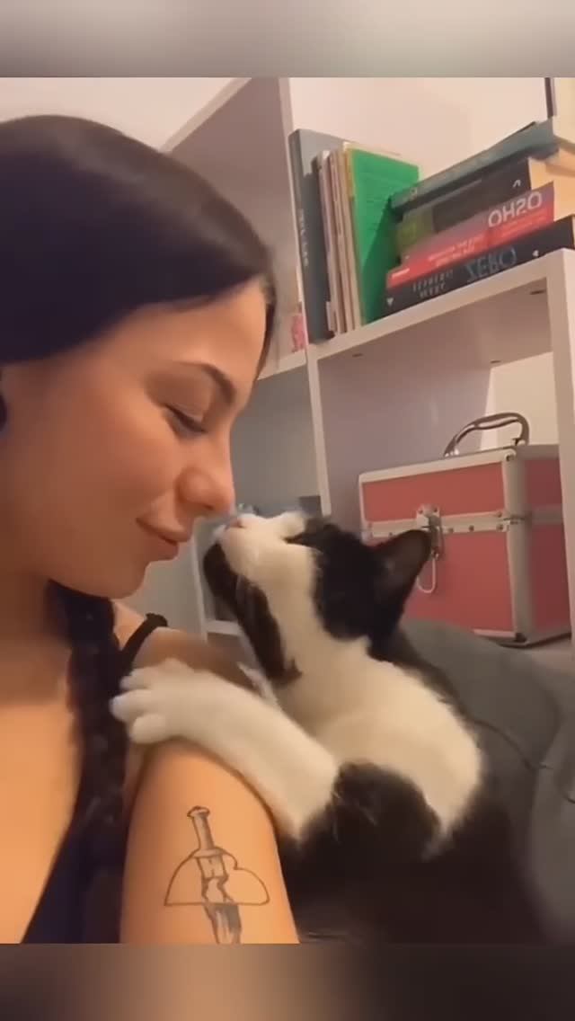 Кошачья любовь и забота о нас #кошка #кошачьялюбовь смотреть онлайн