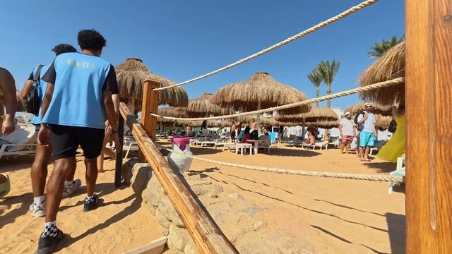 Египет 2024. УЖАС или РАЙ❗️Sunrise Remal Resort 4*. Шарм Эль Шейх. Море Пляж Все Включено смотреть онлайн